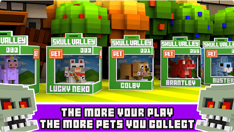 More play -  more pets