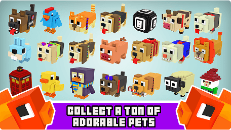 Pets collection